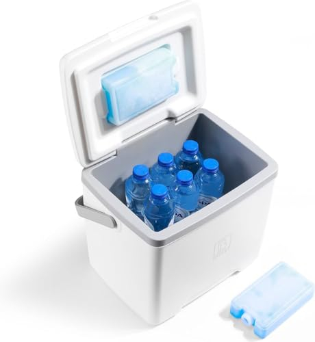 Brisby Kühlbox 13 Liter - 18 Stunden warm - 40 Stunden kühl - Inklusive 2 große Kühlelemente 450 ML -Kühltasche für Arbeit, Camping, Grillen oder Urlaub – BPA-frei