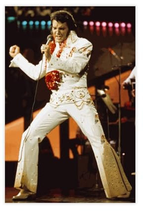 yiili Elvis Presley Konzert-Hawaii-Poster, Leinwand-Poster, Schlafzimmer-Dekor, Sportlandschaft, Büro, Raumdekoration, Geschenk, ungerahmt, 30 x 45 cm