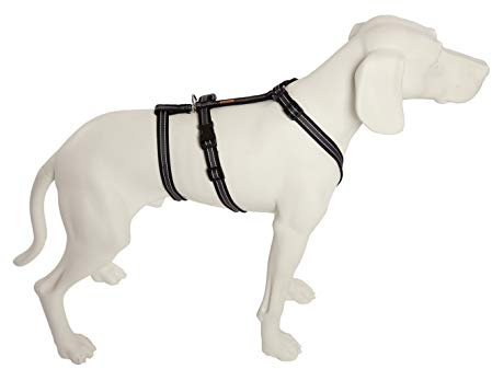 Feltmann No Exit ausbruchsicheres Hundegeschirr für Angsthund, Sicherheitsgeschirr für Pflegehunde, Panikgeschirr, Soft Grip, schwarz/Silber, Bauchumfang 35-50 cm, 15 mm Bandbreite