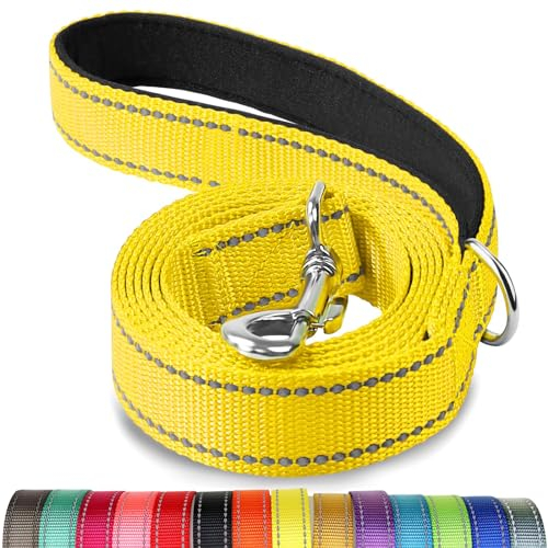 Joytale Hundeleine für Große und Mittelgroße Hunde, Doppelseitig Reflektierende Leine Hund aus Nylon mit Gepolstertem Griff, 1,5m x 2,5cm, Gelb