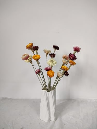 PLDT Ramo de margaritas secas naturales, 20 tallos, margaritas secas, flores de paja para otoño, floral, hogar, cocina, bricolaje, boda, centro de mesa