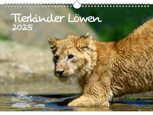 Tierkinder Löwen DIN A3 Kalender für 2025 Löwenbabys - Seelenzauber