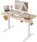 FEZIBO Schreibtisch Höhenverstellbar Elektrisch, 100 x 60 cm Steh-Sitz Tisch, Verstellbarer Stehpult mit Memory-Steuerung, Ergonomischer Computertisch Homeoffice