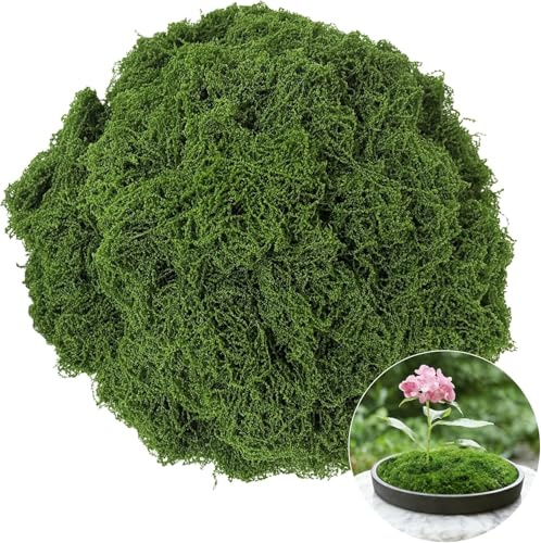 LINYIJOY Kunstmoos zum Dekorieren 200g Dunkelgrün Künstliches Moos Extra Weich & Realistisch, Moos Deko für Wand Hochzeit DIY Basteln Terrarium Modellbau(Ausbreitbar Tiefgrün)