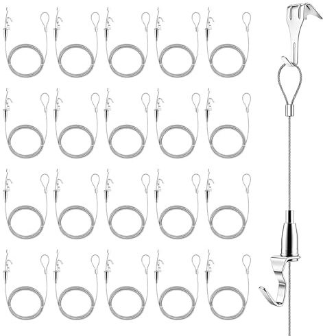 Bildaufhänger, 20 Stück Bilderschienen Set mit Schienenhaken 2 m x 1,5 mm Drahtseil und Verstellbare Hängehaken Bilderschienen Aufhängesystem mit 40 kg Tragfähigkeit für Bilderrahmen Wandmalerei