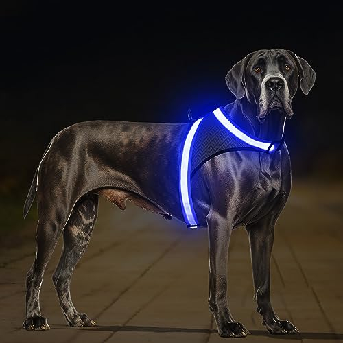 ChalkLit LED Leuchtendes Hundegeschirr USB Wiederaufladbares Vollständig Beleuchtetes Hundegeschirr Leuchtet Im Dunkeln für Nachtspaziergänge Sicherheitsweste, mittelgroße große Hunde(Blau, XL)
