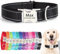 SEOUGEE Personalised Dog Collar with Engraved Metal Buckle, Reflective Nylon Collars for Small Medium Large Dogs with Custom Name Plate Phone Number, Adjustable (Black, L:Neck 40-60cm,Width 2.5cm)