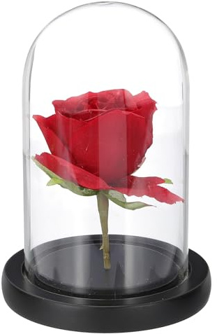 QUARKZMAN Glas Glocke Vitrinenkuppel 15 x 9 cm Vitrine Holz Sockel Schwarz | Glasglocke, Tischdekoration, Für Pflanzen Zuhause Deko, Büro, Hochzeit, Party, Glas