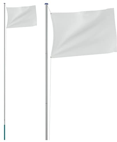 vidaXL Fahnenmast Teilbar, Mast für Nationalflagge, Flaggenmast für Garten Partys Sportveranstaltungen, Fahnenstange Fahnenstange, Silbern Aluminium
