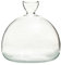 Generisch Avocado-Vase Aus Glas - Transparentes Samen-Starter-Pflanzgefäß, Baum-Anzuchtset, Tischdekoration, Behälter, Zubehör, Geschenke
