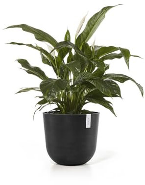 Ecopots Oslo Blumentopf - moderner klassischer Pflanzkübel aus recyceltem Kunststoff für Haus und Garten - langlebig 17.5 cm