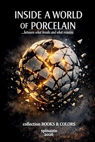 INSIDE A WORLD OF PORCELAIN ...Between what breaks and what remains (Books & Colors)