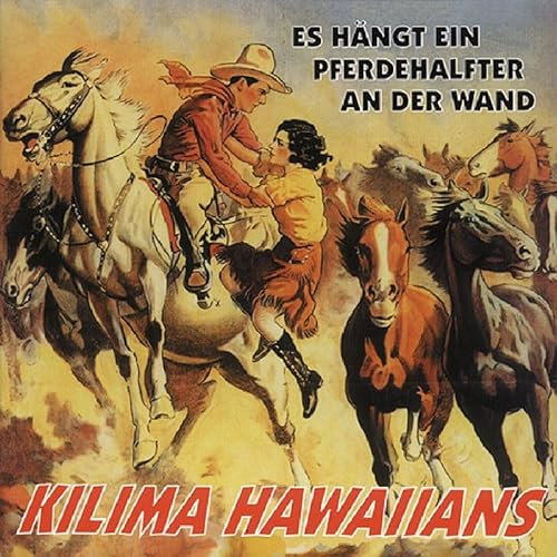Es hängt ein Pferdehalfter an der Wand