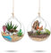 Terrarium en Verre Suspendu 2 Pièces Grande Ouverture Vase Plante Boules 10cm Fleur Vase Pot Boules De Verre Creativesverre la Conception de Bricolage de Jardin de Mariage à la Maison