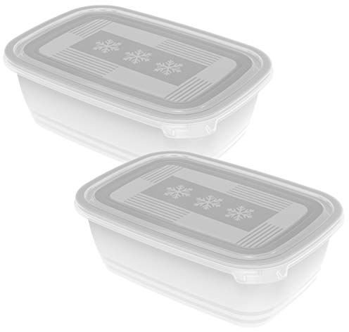 Rotho Freeze 2er-Set Gefrierdosen 1.9l mit Deckel, Kunststoff (PP) BPA-frei, transparent, 2 x 1.9l (23.5 x 16.0 x 10.0 cm)