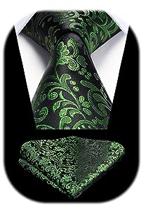 HISDERN Herren Krawatte Hochzeit Grün Paisley Krawatten Taschentuch Blumen Elegant Klassisch Krawatte & Einstecktuch Set