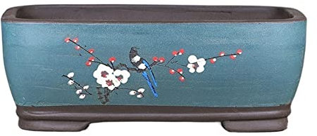 GENHAOSAN Fioriere per piante da interno viola sabbia vaso di fiori Begonia bonsai vaso semplice rettangolare extra large vaso con fori di drenaggio fioriere fioriere (Colore: blu)