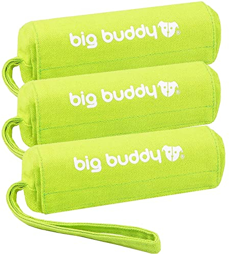 big buddy® Futterdummy für Hunde | Apportierbeutel, Futterbeutel, Hundetraining, Agility Training, Hundeerziehung, Dummy für leckerlies - extrem strapazierfähig (Dreierpack, Grün)