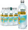 hohes C Energy Water Orange Maracuja (6 x 750ml), mehr Energie mit Vitamin C, B6 & B12 + Guarana, nur 3kcal/100ml, ohne Zuckerzusatz, ohne Konservierungsstoffe, vegan
