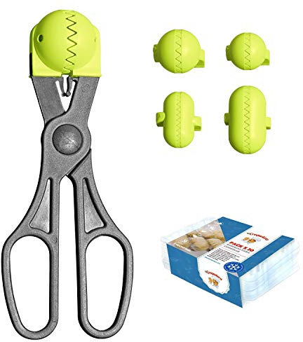 La Croquetera Multiusos Color Pistacho-4 moldes Intercambiables para masas + Pack conservación-100% español : Patentado y Fabricado en España, 1 utensilio + 20 bandejas