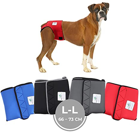 Nature Pet Läufigkeitshose für Hündinnen - Hundewindel für Rüden - Kein lästiges Einfädeln der Rute - Inkontinenz Hundehöschen (L-L-Rot)