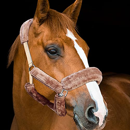 Harrison Howard Horse Halter Fleece Cover Set – Full Coverage Anti-Rub Halter Covers for Horses, Noseband, Chin & Crown Protection, 9-Piece Padding Set Brown
