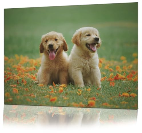 Dat Design GmbH Foto auf Leinwand, Acrylglas, Aluverbund oder Holz – personalisiertes Wandbild – Geschenk – über 50 Größen – hochwertiger Druck aus Deutschland (Druck hinter Acrylglas, Hochformat)