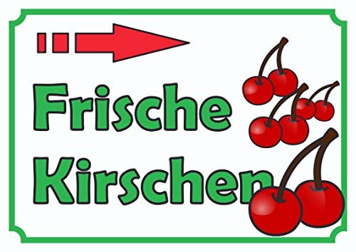 Verkaufsschild Schild Frische Kirschen zu verkaufen mit Pfeil nach rechts A0 Rückseite selbstklebend