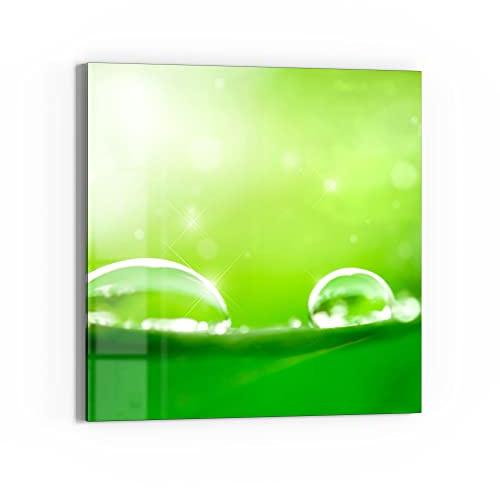 DEQORI Glas-Magnettafel | 50x50 cm groß | Motiv Tautropfen auf Blatt | Memo-Board aus Glas | Magnetboard inkl. Magnete, Stift & Tuch für Küche & Büro | Tafel magnetisch & beschreibbar