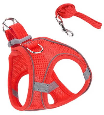 Harnais Anti-Fugue pour Chat - Set Harnais Et Laisse pour Chat | Accessoires pour Chiens Et Chats Toutes Tailles Voyage Randonnée