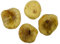 Fichi Secchi Corona - Senza Zucchero - Ficus Carica L. (350g)