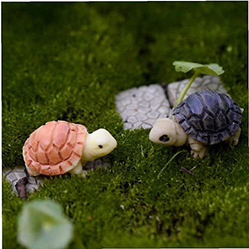PiniceCore 2st Fairy Garden Miniatures Terrarium Desktop-sukkulente Micro Landschaft Dekoration