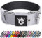 TSPRO Taktisches Hundehalsband, Robustes Halsband für Hunde mit Metallschnallenverschluss, 3,8 cm Breit, Verstellbar und Dick für Mittel bis Großgroße Hunde (Silber M)