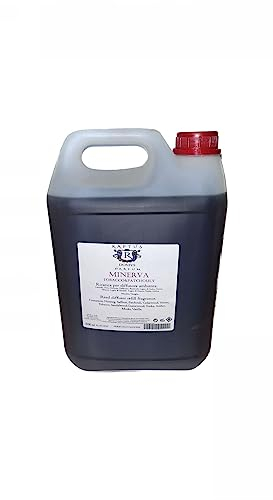 RAPTUS RICARICA PROFUMATORE AMBIENTE DOMUS MINERVA 5 LITRI