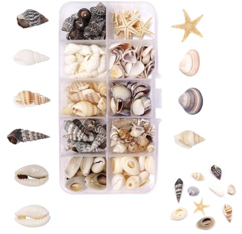 210 Pack Shells for Crafting Natural Shell with Shells Sea Snails Starfish