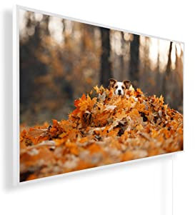 Infrarotheizung mit Bild – Herbst Bildmotive – TÜV SÜD - 1200 Watt Bildheizung - Weißer Rahmen (03. Hund im Laub)
