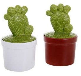 Socadis - Pot Cactus A Raquettes Couleur ALEATOIRE