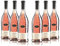 Canti - Pinot Grigio delle Venezie D.O.C., italienischer Rosé Wein, frisches Pfirsicharoma mit lebendigen beeren und Steinobstgeschmack, 6x750 ml