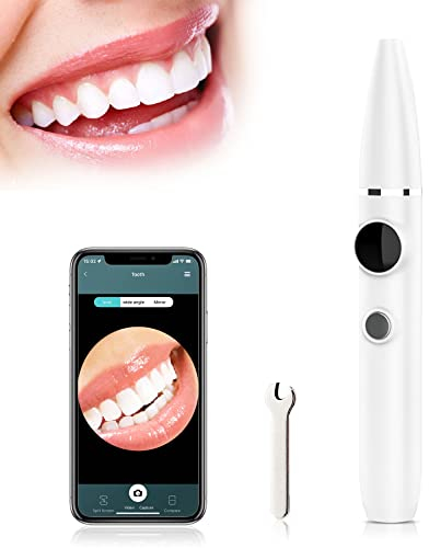 Electric Visual Tooth Cleaning Instrument, Dental Care Kit, Replaceable Clean Heads,Protect Your Dental Health for Home/Travel/Outdoor