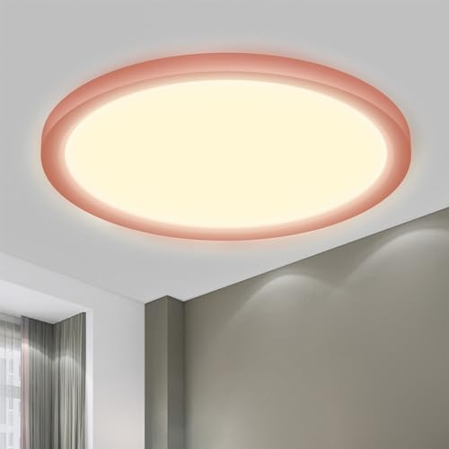 LQWELL® Lámpara de Techo LED Lámpara de Techo, IP44 Lámpara de Baño Impermeable Redonda Plana 18W 3000K 1600LM Delgada para Sala de Estar Baño Dormitorio Cocina Pasillo Sótano Oficina, 220 * 24mm