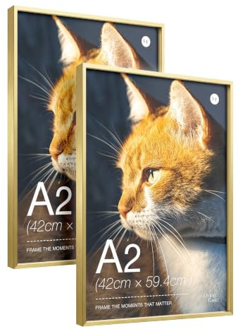LIVINGTASTE Bilderrahmen A2 Aluminium Gold mit gehärtetem Glas, 2 stück passt für 42x59,4 cm Poster, ideal für Wohnzimmer Wanddeko