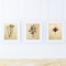 Bilderset BOTANIK. Poster mit Botanikillustrationen. Bilder zum Einrahmen mit Naturillustrationen. Innendekoration. Hochwertiges Papier 250 g/qm - Pack Air