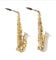 PECY Saxophon Musical Instrument White Bronze Geschnitzte Altsaxophon In E Flach