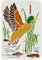 FINGERINSPIRE Enten Schablone 29.7x21cm Kunststoff Schablonen Fliegende Enten Malschablone Enten Schilfmuster Schablonen Wiederverwendbare Schablone Zum Malen Auf Holz, Fußboden, Wand Und Fliese