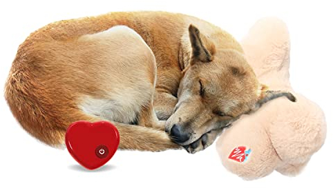 ALL FOR PAWS Puppy Heartbeat Kissen Hundekissen für Welpen, Hundekissen, Schlafhilfe, Spielzeug, trösten Sie Ihre Welpen