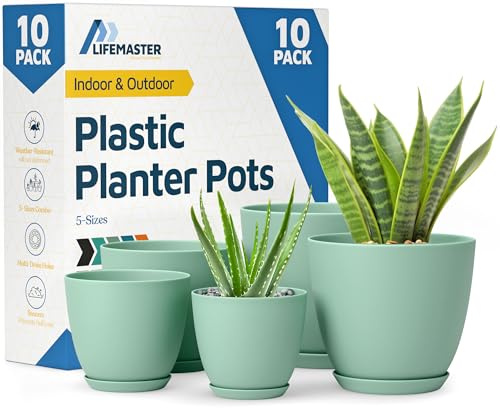 Lifemaster Pot de Fleurs, Menthe