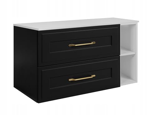 Rodan Moderne Möbel - Schrank Weiß, Schwarz - Möbelstück - Bastelregal – Bastelplatte 100,6 x 58,6 x 46 cm