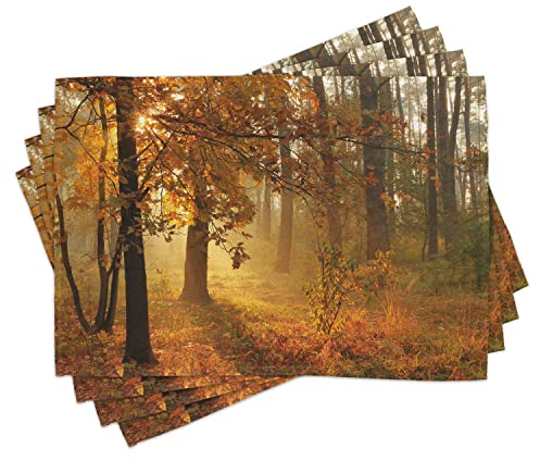ABAKUHAUS Fallen Platzmatten, Frühen Morgen Trübselig Herbstwald mit Aufgehenden Sonne Landschaft Muster, Waschbare Stoff Esszimmer Küche Tischdekorations Digitaldruck, Blasser Kaffee Braun