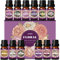 SALUBRITO Blumen Ätherische Öle Set, Blume Duftöl für Diffusor und Kerzenherstellung - Jasmin, Gardenie, Rose, Lavendel, Geranie, Kirschblüte, Freesie und mehr