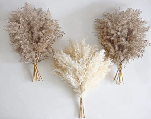 30 PCS Boho Decor, Fluffy Pompas Grass, Natural Dry Pampas Grass Small, Short Pampass Bulk for Boho Room, Coffee Table Decor (17 inch )